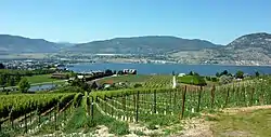 Okanagan Lake from Naramata