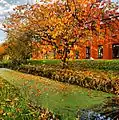 Eutrophication in a canal