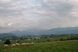 View from the pastures around Sierockie