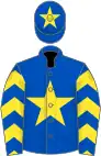 Royal blue, yellow star, chevrons on sleeves, royal blue cap, yellow star