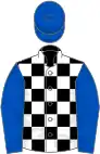 Black and white checked, royal blue sleeves and cap