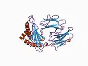 1agd: ANTAGONIST HIV-1 GAG PEPTIDES INDUCE STRUCTURAL CHANGES IN HLA B8-HIV-1 GAG PEPTIDE (GGKKKYKL-INDEX PEPTIDE)