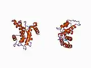 1aj5: CALPAIN DOMAIN VI APO