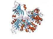 1st4: Structure of DcpS bound to m7GpppA