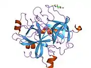 1tmt: CHANGES IN INTERACTIONS IN COMPLEXES OF HIRUDIN DERIVATIVES AND HUMAN ALPHA-THROMBIN DUE TO DIFFERENT CRYSTAL FORMS