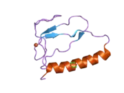 1zt5: C-terminal domain of Insulin-like Growth Factor Binding Protein-1 isolated from human amniotic fluid complexed with Iron(II)