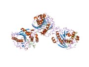 2aec: Crystal Structure of Human M340H-Beta1,4-Galactosyltransferase-I (M340H-B4GAL-T1) in Complex with GlcNAc-beta1,2-Man-alpha1,6-Man-beta-OR