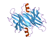 2b16: The crystal structure of 2,4-dinitrophenol in complex with the amyloidogenic variant Transthyretin Tyr78Phe