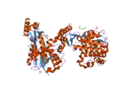 2c2n: STRUCTURE OF HUMAN MITOCHONDRIAL MALONYLTRANSFERASE