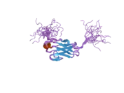 2cry: Solution structure of the fifth ig-like domain of human kin of IRRE like 3