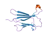 2d4d: The Crystal Structure of human beta2-microglobulin, L39W W60F W95F Mutant