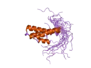 2dky: Solution structure of the SAM-domain of Rho-GTPase-activating protein 7