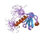 2dlw: Solution structure of the IRS domain of human docking protein 2, isoform a