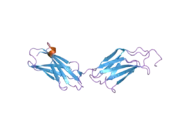 2gee: Crystal Structure of Human Type III Fibronectin Extradomain B and Domain 8