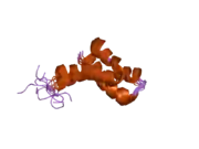 2gyt: Solution structure of the SAM (sterile alpha motif) domain of DLC1 (deleted in liver cancer 1)