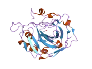 2hfw: Structural and kinetic analysis of proton shuttle residues in the active site of human carbonic anhydrase III