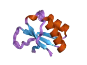 2hh2: Solution structure of the fourth KH domain of KSRP