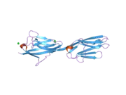 2ill: Anomalous substructure of Titin-A168169