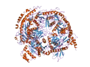 2nn6: Structure of the human RNA exosome composed of Rrp41, Rrp45, Rrp46, Rrp43, Mtr3, Rrp42, Csl4, Rrp4, and Rrp40