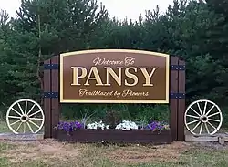 Pansy Welcome Sign