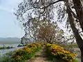 Walkway through the lake