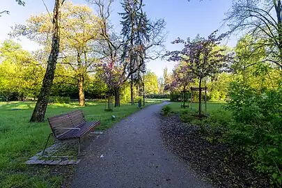 View of a walkway