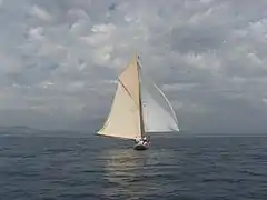 Partridge 1885's Sails