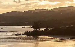 Parua Bay, showing the Pacific oyster aquaculture farm