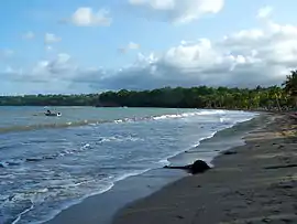 Sainte-Claire Beach to the south of Goyave