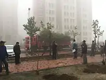 Trees being planted around Taitou residential compound after the completion of renovation works in 2017