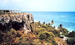 Cliffs above Pajaros Beach