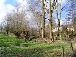 A puddle near the Nelisweg in Helle