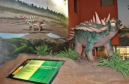 Polacanthus foxi life size model on display