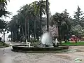 Pond and Palm Trees alley