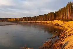 Simansky Forest, Kozhevnikovsky District