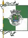 Flag of Monção