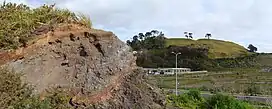 A remnant of the predominantly quarried Purchas Hill, with Mount Wellington in the background.