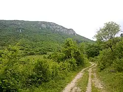 Landscape near Donje Sokolovo