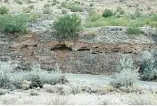 Goldmine Gulch. The gulch is a narrow and steep-sided ravine marking the course of a fast stream.