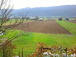 A view from a house in Račica