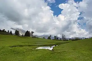 Meadows of Kunali near Musa ka Musala in Siran Valley]] c. October 2015