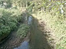 Small water-filled ditch between grassy banks.