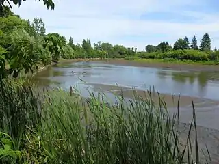 The Saint-Charles River (low water)