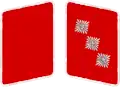 SA Gorget patches