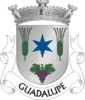 Coat of arms of Guadalupe