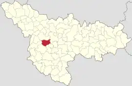 Location in Timiș County