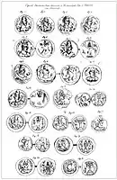 Alchon Hun, Sassanian and Kidarite coins from Tapa Kalan (Hadda 10)