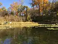 A deer on the shore of Saunders Lake