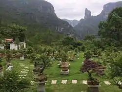 Bonsai garden just outside the Shenxianju geologic area.