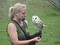 Keeper with barn owl (Shepreth Wildlife Park)